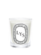 Lys / Lily Candle